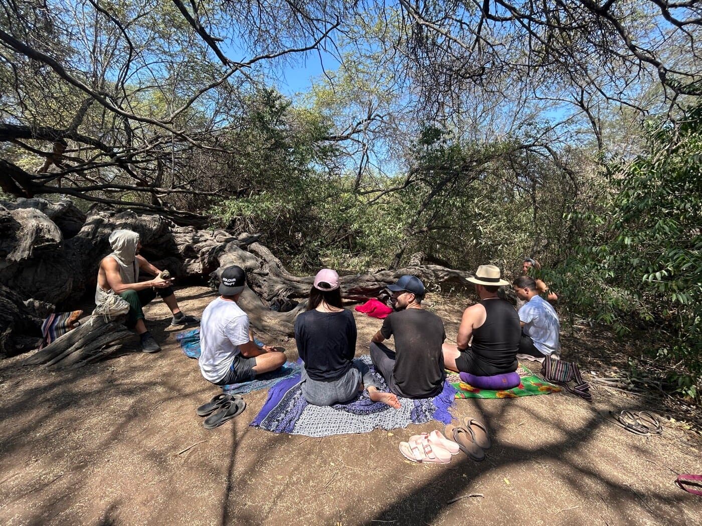 Sacred Ways pilgrimage group sitting in a forest clearing for a teaching