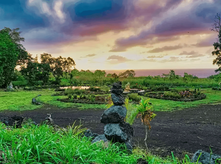 Tropical garden at sunset